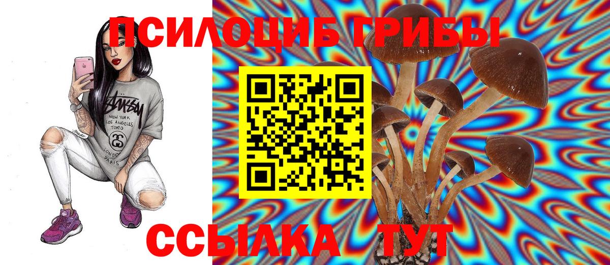 Псилоцибиновые грибы Psilocybine cubensis  Вход с VPN  Ростов-на-Дону 